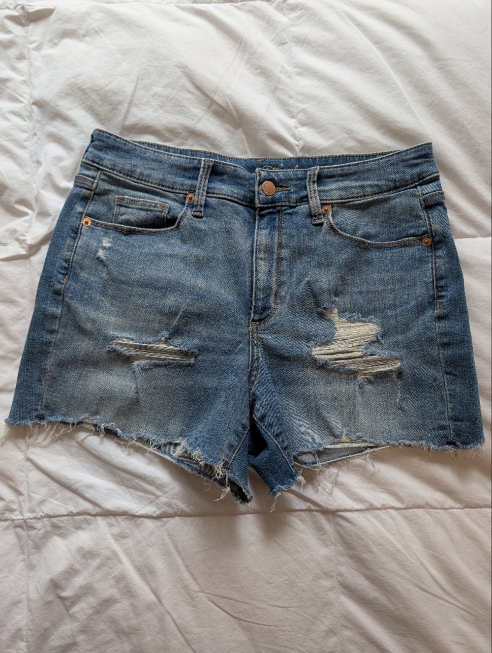 EUC Universal Thread Distressed Shorts